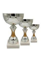 CTS 318 | SET de 3 Cupe Sportive - TrophyShop